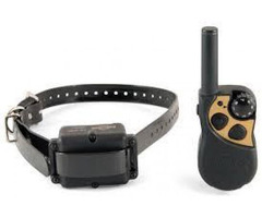 best dog training collar reviews