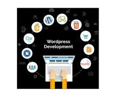 Custom Wordpress Design and Development Services