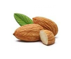 Sun Sync Solar Diet Food List