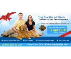 electronic dog collar