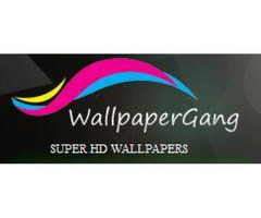 Free HD Wallpapers For Laptop