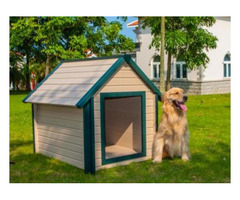 Get the Best Eco-friendly Bunk House for Large Dog