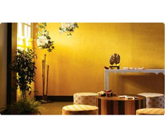 FREE SPECICAL OFFER FOR VS PAINTING CONTRACTORS VS Painitng