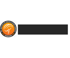 The Institute of Brain & Spine Surgery - TIBSS