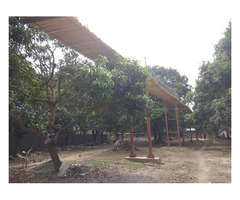 Eco Tourist Village in Kolkata