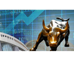 Do you invest in stocks?