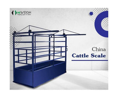 Buy China Cattle Scale for Superior Service