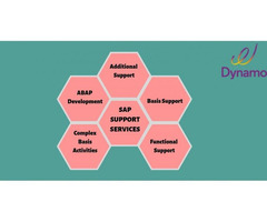 SAP Support services USA