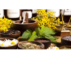 Buy Ayurvedic Herbs Online