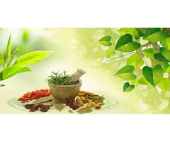 Buy Ayurvedic Herbs Online - 3