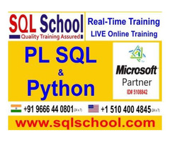 PL SQL  Practical Online Training @ SQL School
