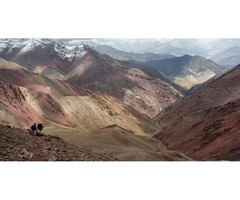 Markha valley Summer Trek Tour 2019