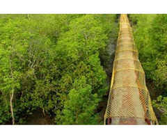 Tour operator for Sundarban - 2
