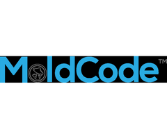 Mold Inspection in Naperville IL