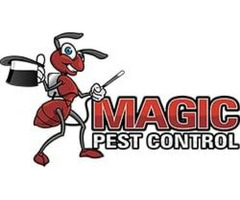 phoenix pest control | pest control gilbert