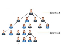 MLM Generation and Unilevel Plan Software