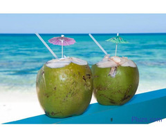 Find Top Features Of the Caribbean Vacation Specials - 3