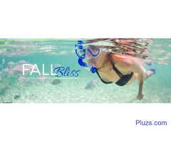 Find Top Features Of Caribbean Vacation Specials - 3