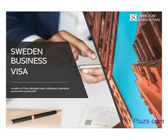 Sweden Business Visa Application Assistance