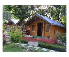 300 Hour Yoga Teacher Training in Rishikesh, India - 2019 - 4