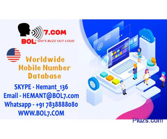 Mobile Number Database in USA - 3