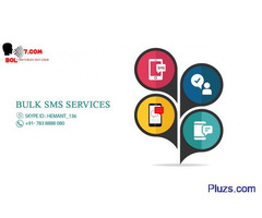 USA Bulk SMS Services - 2