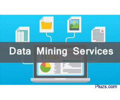 Outsourcing Data Mining Services