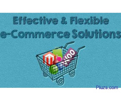 Web development in Chennai - 2