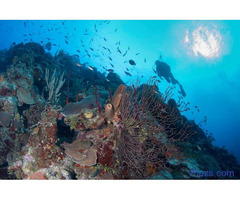 Enjoy A Great Vacation With Top Caribbean Vacation Specials - 2