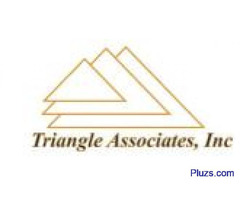 Triangle Associates Inc