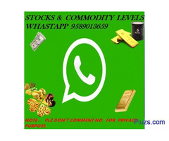 Future Tips Services for Good Return in the Share Market