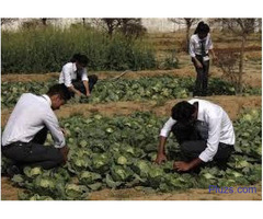 Top Agriculture College in Uttarakhand