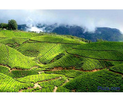 KERALA Tour Planner in Kolkata