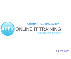 citrix online training by hands-on working faculty | Apex