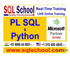 PL SQL Best Online Training @ SQL School