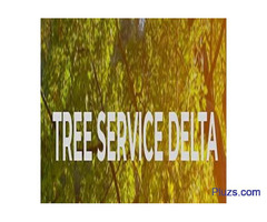 Tree Service Delta Inc. - 4