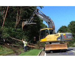 Tree Trimming South Bend