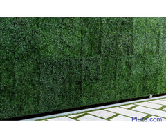 Landscape Gardeners Sunshine Coast