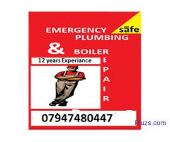 Local Plumber