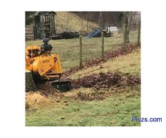 Tree Removal Christiansburg VA