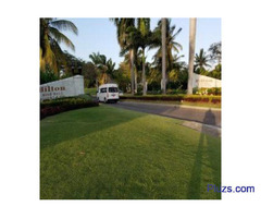 Enjoy Affordable Safe Airport Transportation in Montego Bay