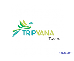 Istanbul Airport Transfer