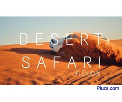 best desert safari tours