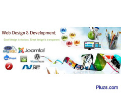 Website Design and Development Company in Aurangabad, India - 2