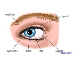 Top Eye Hospital in Bangalore