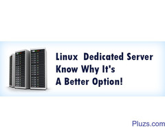 The Unique Features of the Linux Dedicated Server Hosting
