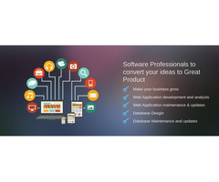 Best Custom Web Design Company in Delhi