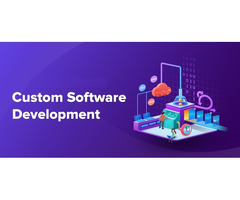 Best Custom Web Design Company in Delhi - 4