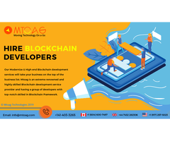 Hire Blockchain Developers