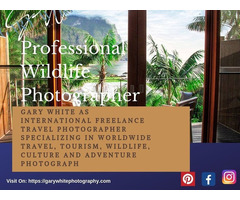 Professional Wildlife Photographer
